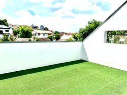 Shamrock Park (D10), Detached #547196551